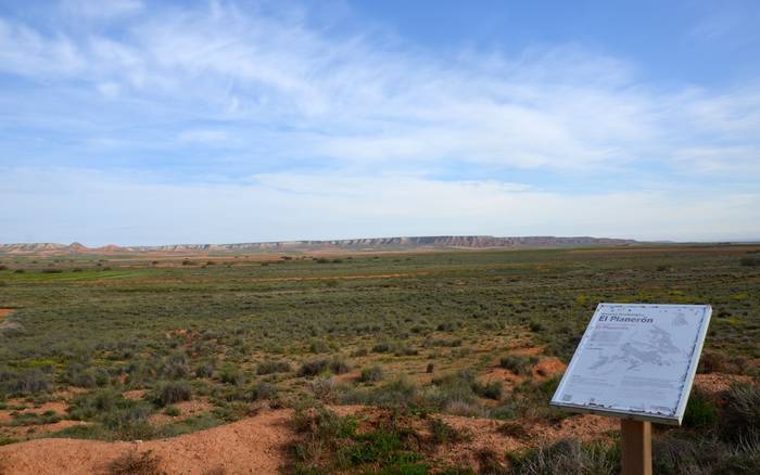 El Planeron erreserba, Belchite