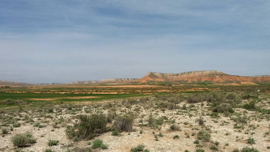 Belchite - El Planerón erreserba ornitologikoa irudia